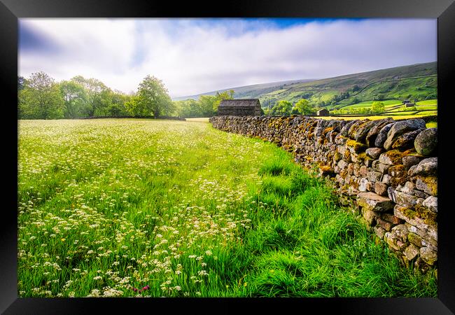 Muker Wildflower Meadows Yorkshire Dales Framed Print by Tim Hill