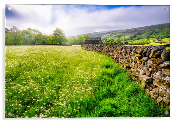 Muker Wildflower Meadows Yorkshire Dales Acrylic by Tim Hill