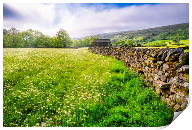 Muker Wildflower Meadows Yorkshire Dales Print by Tim Hill