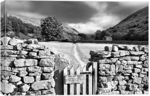 Yorkshire Dales Black and White Canvas Print by Tim Hill