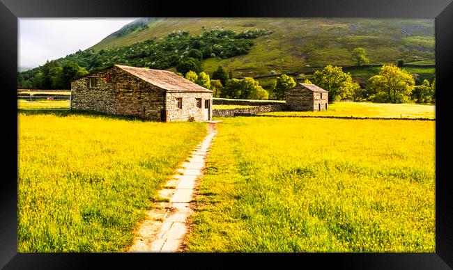 Muker Wildflower Meadows Yorkshire Dales Framed Print by Tim Hill