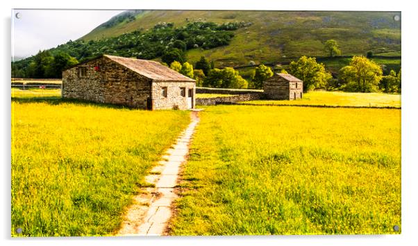 Muker Wildflower Meadows Yorkshire Dales Acrylic by Tim Hill