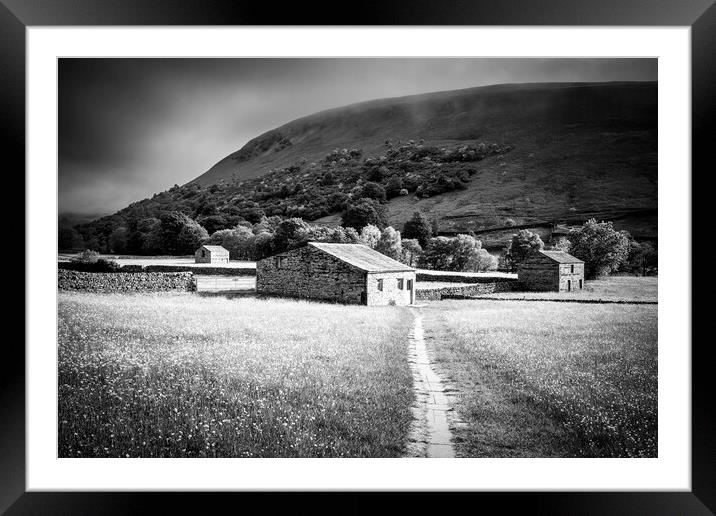 Swaledale Black and White ~ Yorkshire Dales Framed Mounted Print by Tim Hill
