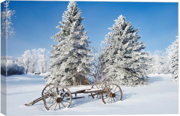 old wagon, hoarfrost on trees Canvas Print by Dave Reede