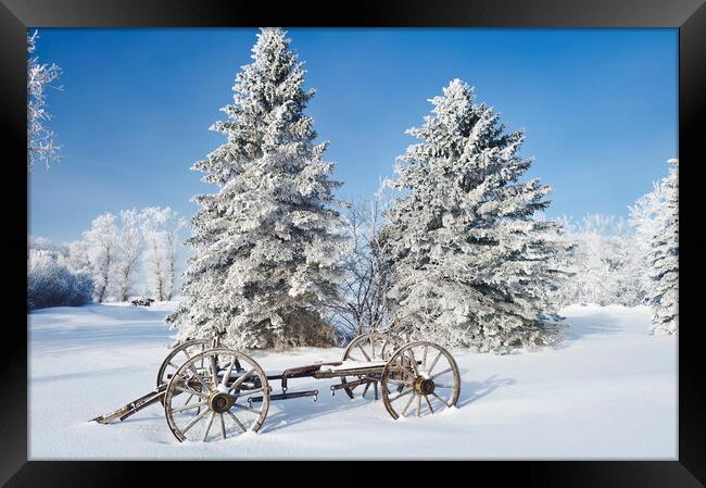 old wagon, hoarfrost on trees Framed Print by Dave Reede
