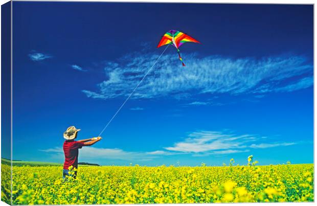 a farm girl flies a kite in a blooming canola field Canvas Print by Dave Reede