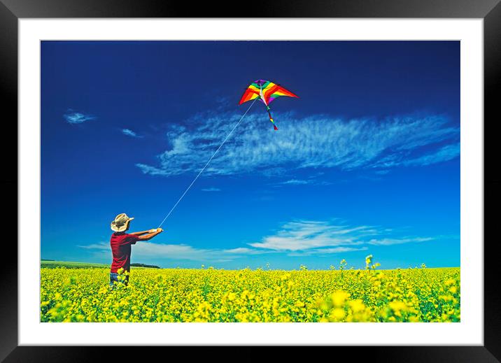 a farm girl flies a kite in a blooming canola field Framed Mounted Print by Dave Reede