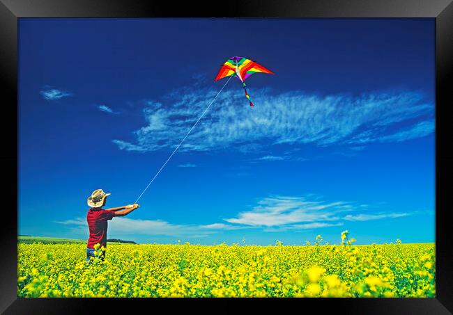 a farm girl flies a kite in a blooming canola field Framed Print by Dave Reede