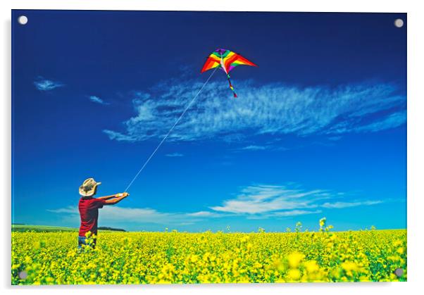 a farm girl flies a kite in a blooming canola field Acrylic by Dave Reede