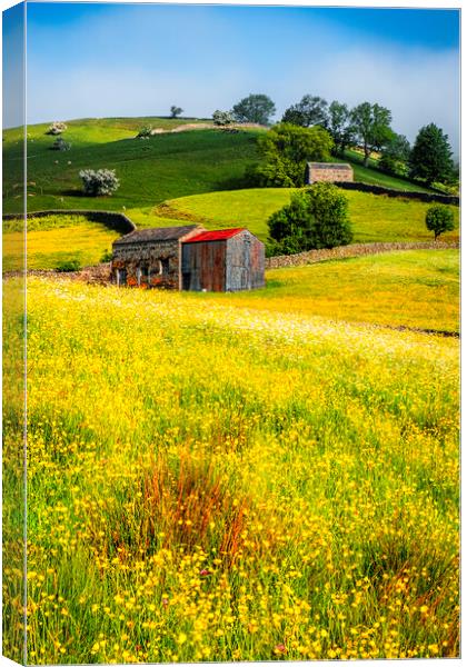 Muker Flower Meadows Yorkshire Canvas Print by Tim Hill