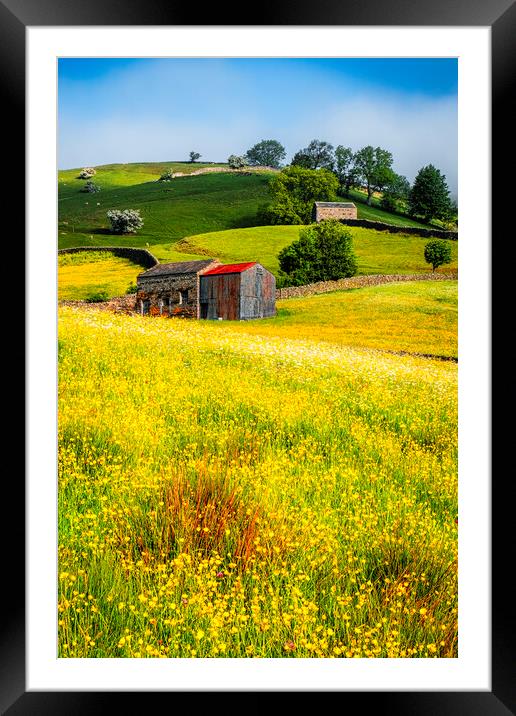 Muker Flower Meadows Yorkshire Framed Mounted Print by Tim Hill