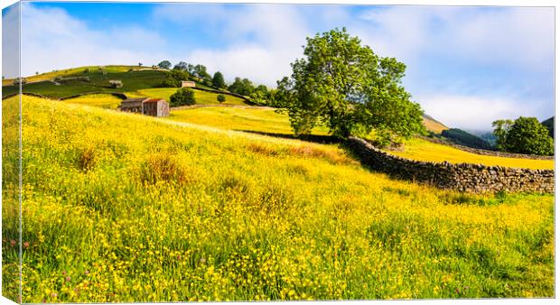 Muker Flower Meadows Swaledale Canvas Print by Tim Hill