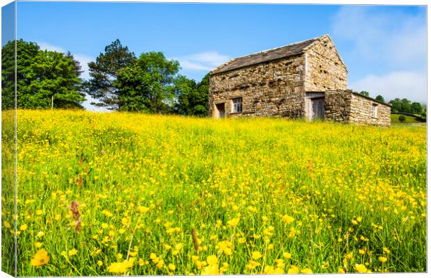 Muker Flower Meadows Swaledale Canvas Print by Tim Hill
