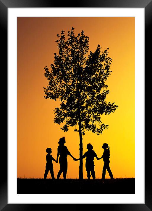 tree of life Framed Mounted Print by Dave Reede