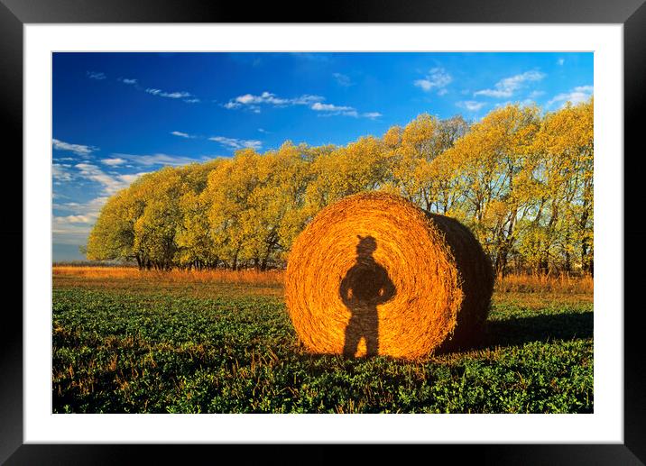 a shadow of a farmer  looking out over his alfalfa field Framed Mounted Print by Dave Reede