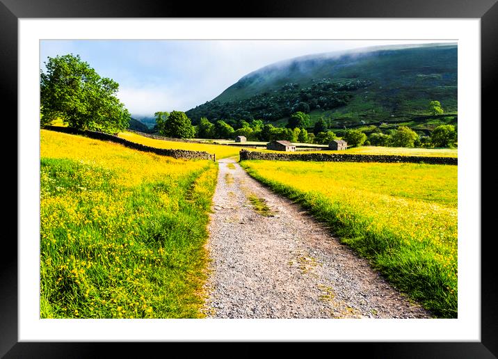 Muker Flower Meadows Yorkshire Framed Mounted Print by Tim Hill