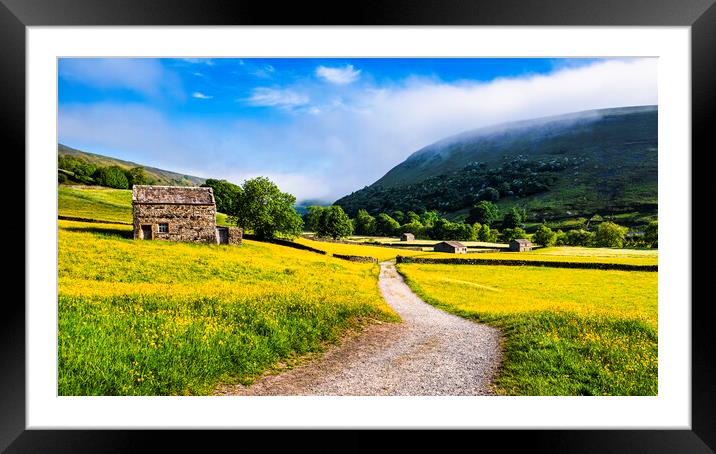 Muker Wildflower Meadows Yorkshire Framed Mounted Print by Tim Hill