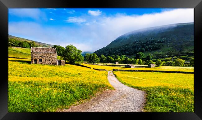 Muker Wildflower Meadows Yorkshire Framed Print by Tim Hill