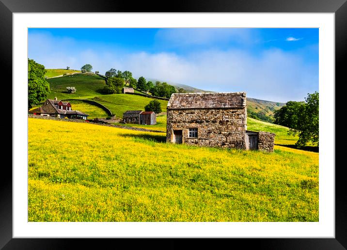 Muker Wildflower Meadows Yorkshire Framed Mounted Print by Tim Hill