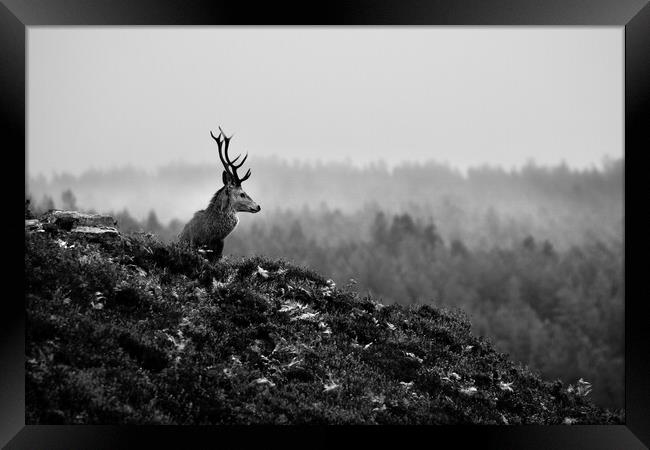 Above The Mist Framed Print by Macrae Images