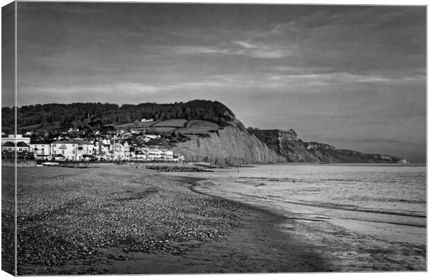 Sidmouth Seafront and Beach  Canvas Print by Darren Galpin