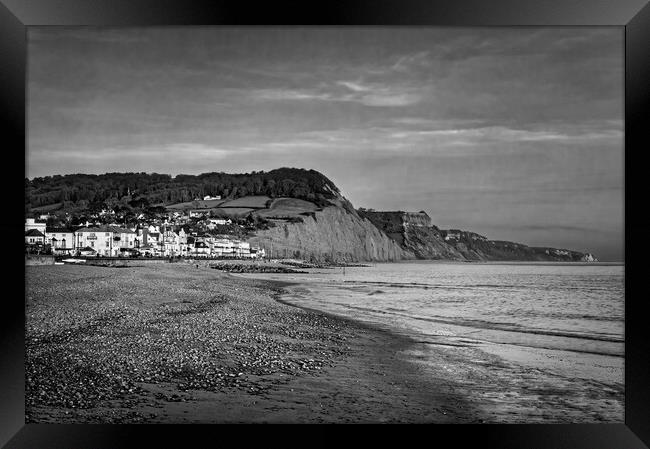 Sidmouth Seafront and Beach  Framed Print by Darren Galpin