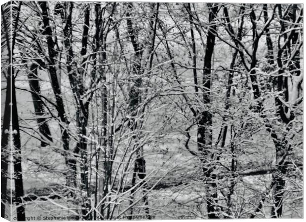 Winter Trees Canvas Print by Stephanie Moore