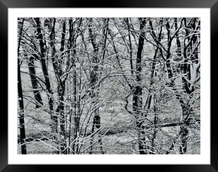 Winter Trees Framed Mounted Print by Stephanie Moore