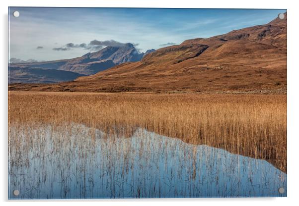 The Hairy Loch Acrylic by James Marsden