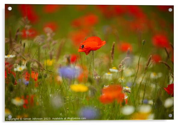 Poppy and meadow flowers  Acrylic by Simon Johnson