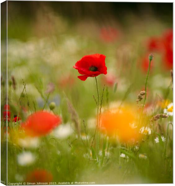 Poppy flower Canvas Print by Simon Johnson