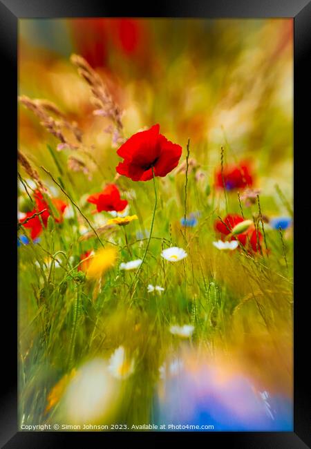 Poppy flower with ICM Framed Print by Simon Johnson