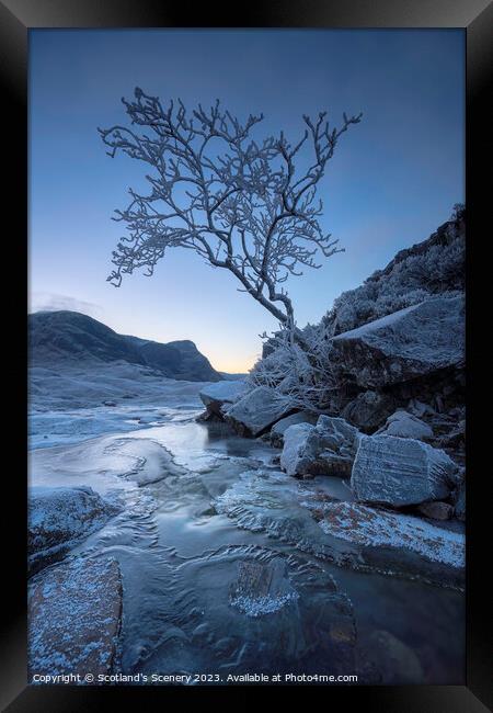 The lone tree, Glencoe, Highlands, Scotland. Framed Print by Scotland's Scenery