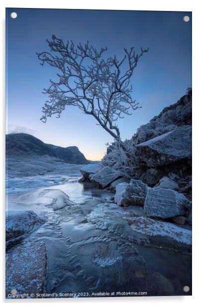 The lone tree, Glencoe, Highlands, Scotland. Acrylic by Scotland's Scenery