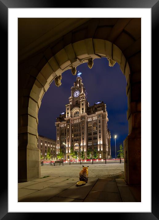 Liverpool Fox Under the Arches Framed Mounted Print by Dave Wood