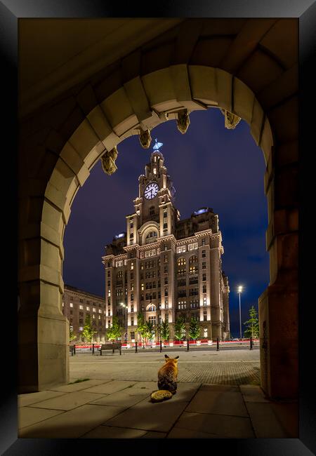 Liverpool Fox Under the Arches Framed Print by Dave Wood