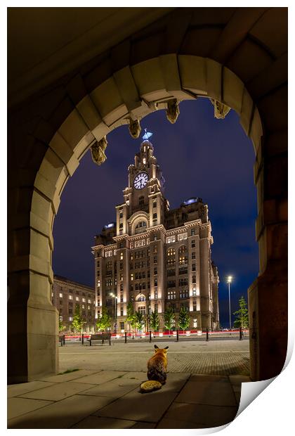Liverpool Fox Under the Arches Print by Dave Wood