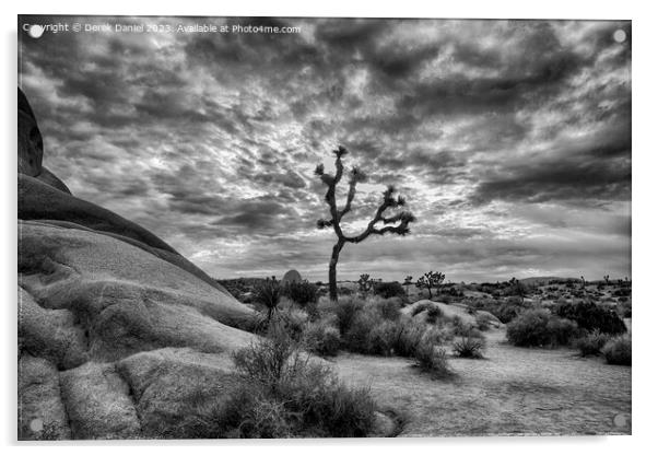 A Desert Symphony (mono) Acrylic by Derek Daniel