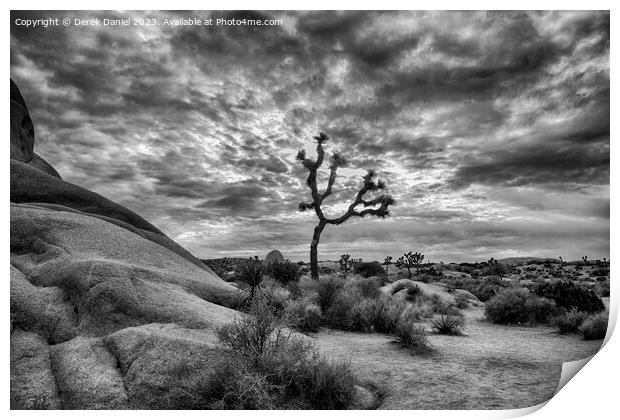 A Desert Symphony (mono) Print by Derek Daniel