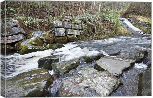 Rushing Water Canvas Print by Steve Purnell