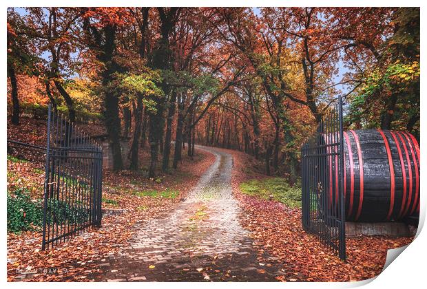 Entrance to the autumn forest Print by Dejan Travica