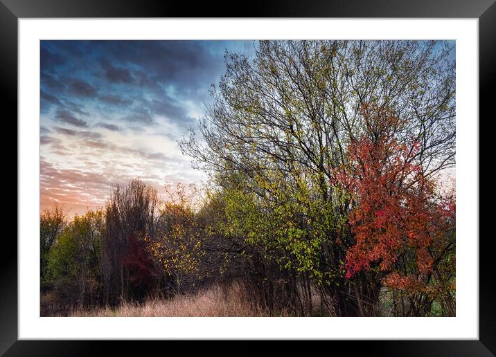 To meet the autumn Framed Mounted Print by Dejan Travica