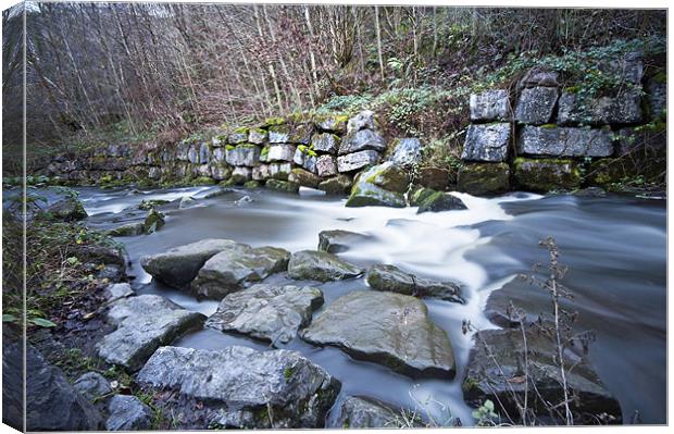 Rushing Water Canvas Print by Steve Purnell