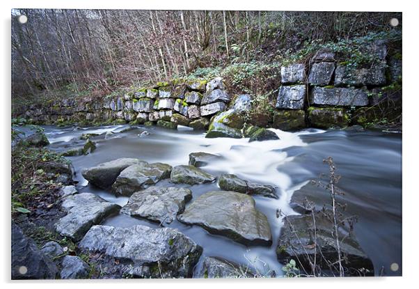 Rushing Water Acrylic by Steve Purnell