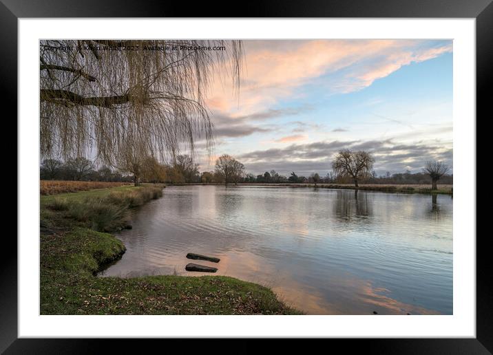 Leg of Mutton pond Bushy Park at dawn Framed Mounted Print by Kevin White