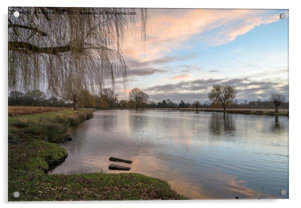 Leg of Mutton pond Bushy Park at dawn Acrylic by Kevin White