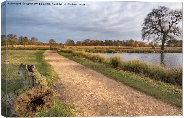 Cycle and walking path around ponds at Bushy Park Canvas Print by Kevin White