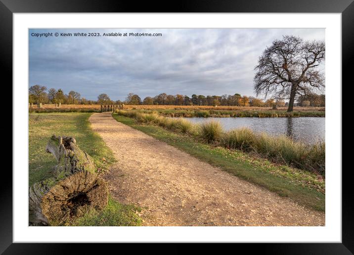Cycle and walking path around ponds at Bushy Park Framed Mounted Print by Kevin White