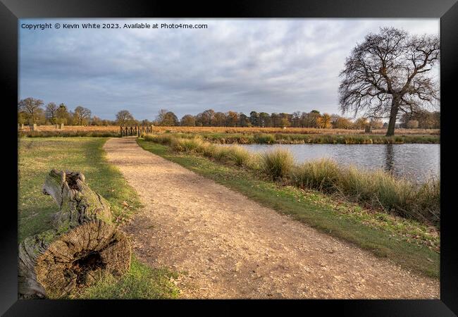 Cycle and walking path around ponds at Bushy Park Framed Print by Kevin White