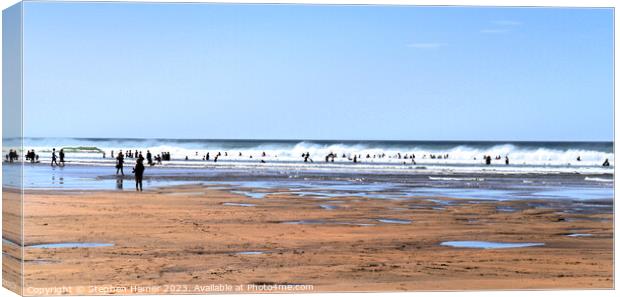 Fun in the Surf Canvas Print by Stephen Hamer